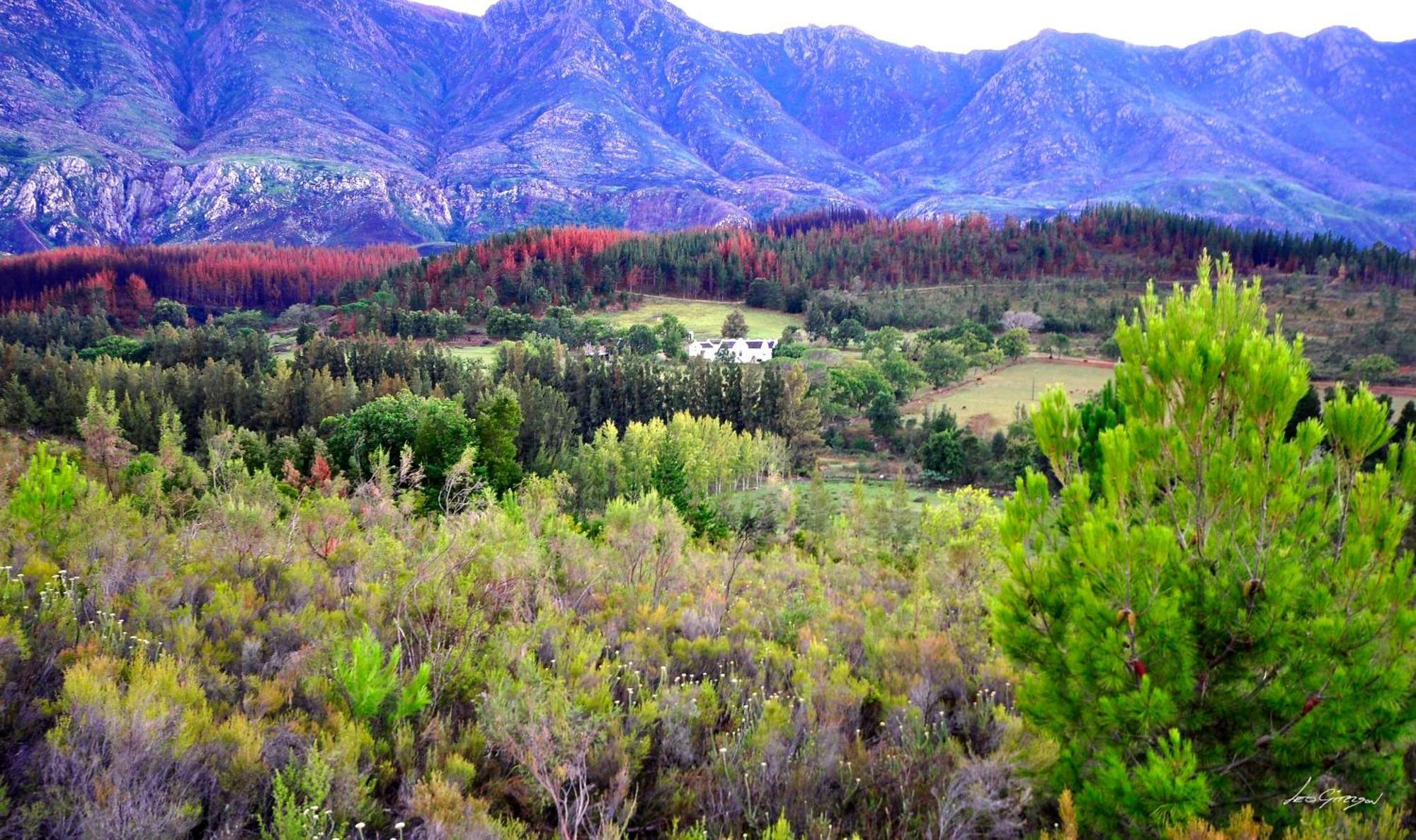 A Hilltop Country Retreat Swellendam Dış mekan fotoğraf